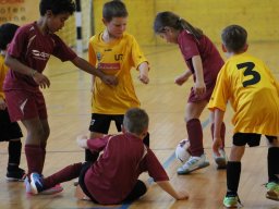 mini-IMG_6954
